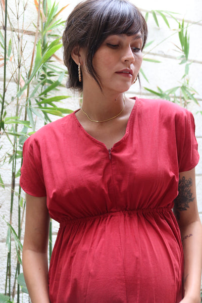 Layla Nursing Dress (Barn Red)